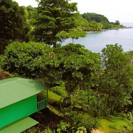 Cabana Ara Macao Lodge Drakes Bay Exterior foto